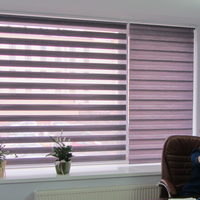 Клиентка Элла на фоне рольштор день-ночь в ее офисе